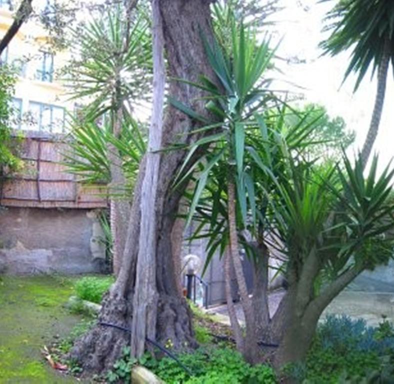 Villa Orchidea Sorrento Room photo